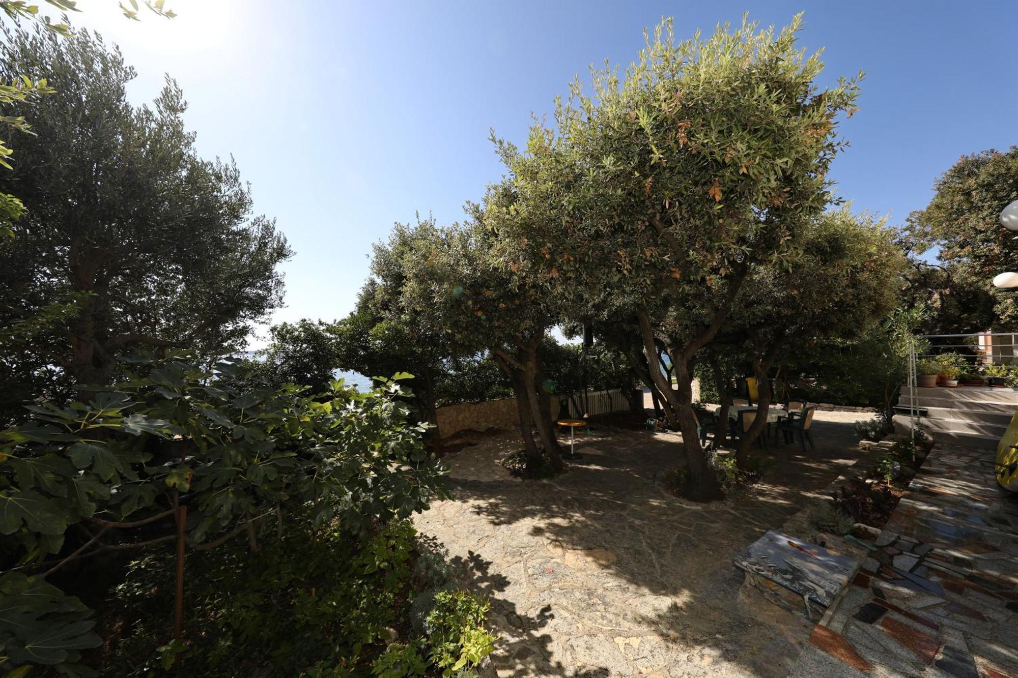 Horizonte Apartman Mandre Εξωτερικό φωτογραφία